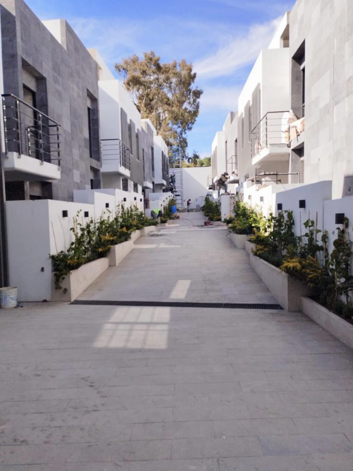 Imágen del proyecto FOCUS CUAJIMALPA